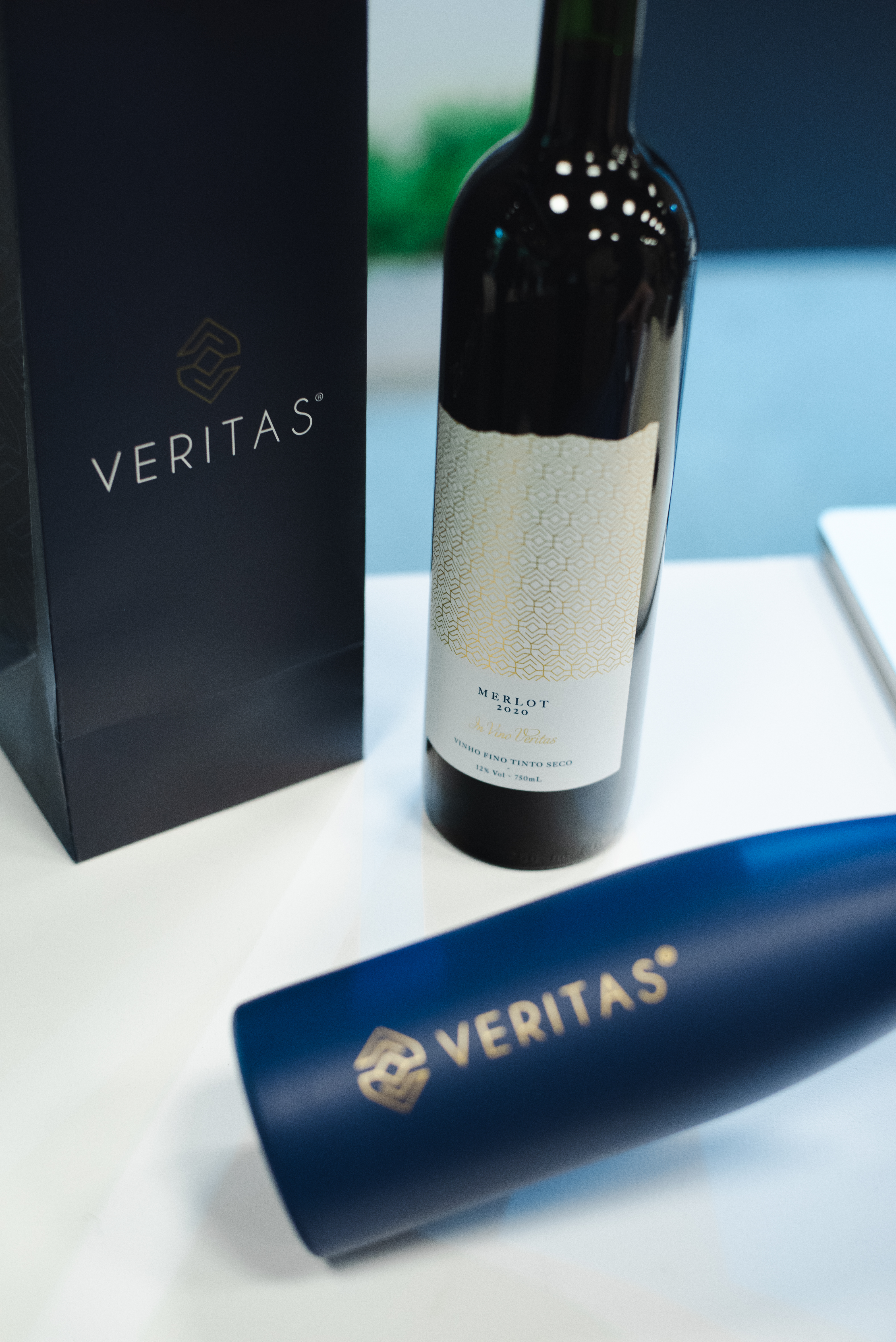 VERITAS_ABCVM_2025-10